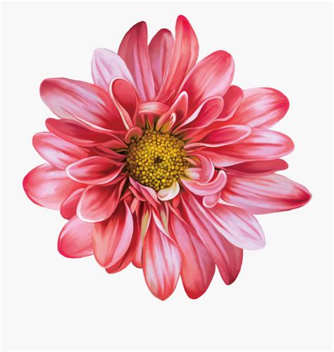 real flower clip art.